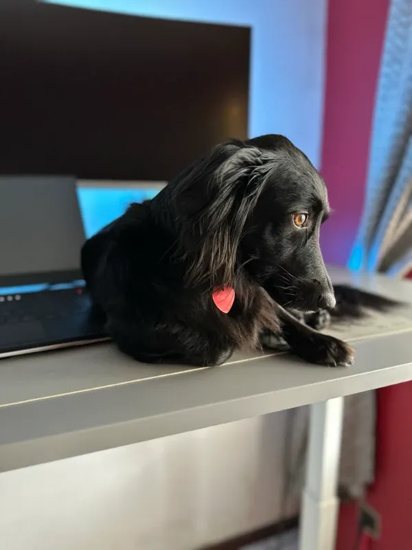 Vida personal y trabajo